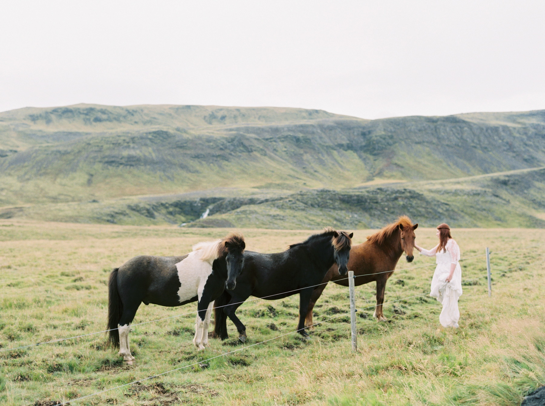 bride and horses Iceland Wedding At Hotel Budir & the Black Church