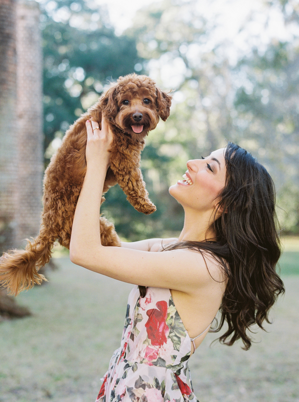 Dogs in engagement photography shoot