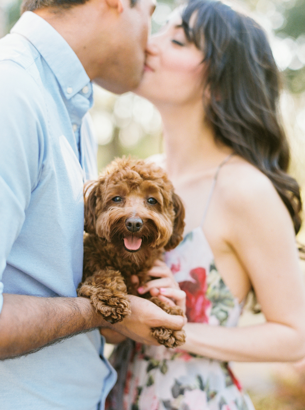 dogs in engagement photo session