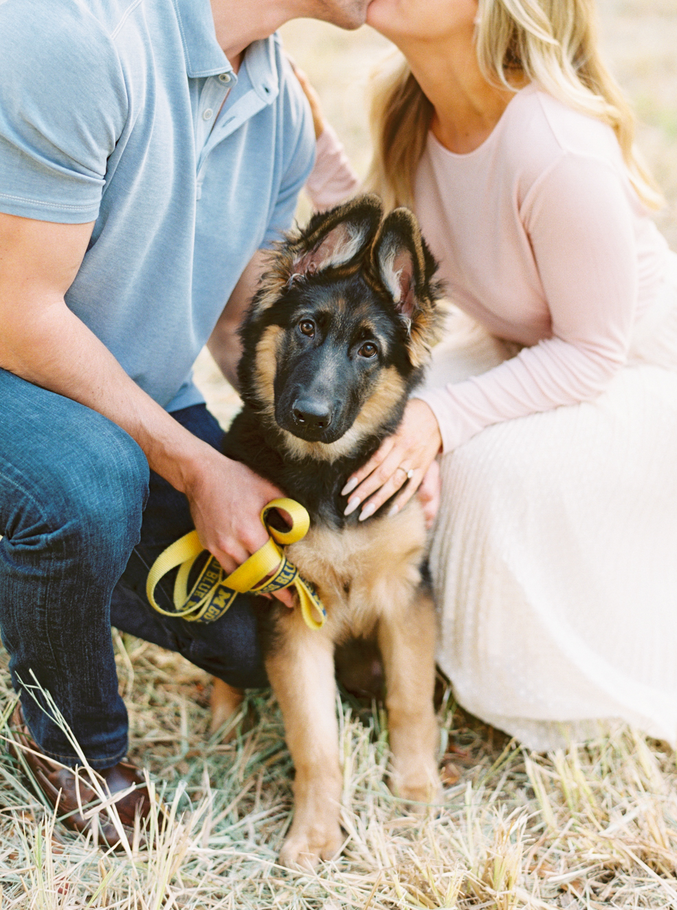 Best of Dogs in Weddings and Engagement Sessions - Kati Rosado