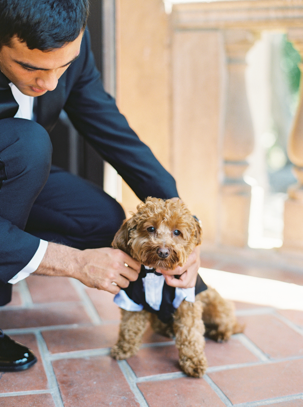 Best of Dogs in Weddings and Engagement Sessions - Kati Rosado