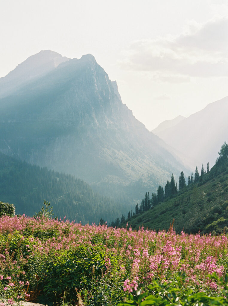 Glacier National Park Engagement Photos, Going to the Sun Road, Montana Wedding Photographer